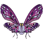 Рисунок бабочки 104