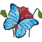 Рисунок бабочки 111